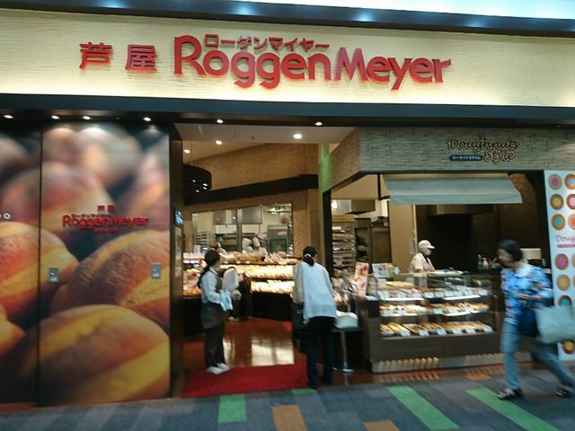 X܊O_Roggen Meyer }{K[fYX