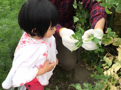 V̑̌_uƂƃt@[vւ̓eʐ^1