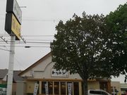 yookỏ]igg hX̓eʐ^1