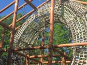 VF̍ckuˌъԃAX`bNR[X̓eʐ^1