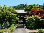 w-masa̓퉏̓̕eʐ^1