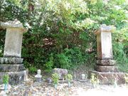 w-masa̓퉏̓̕eʐ^2