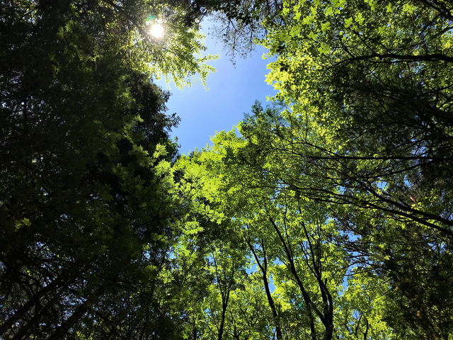 ���C���猩�グ���_THE�@HIGHEST�@PEAK