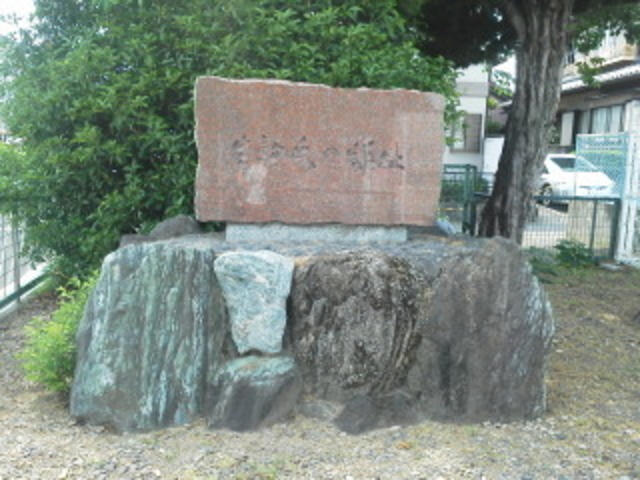 �Δ�_����~��