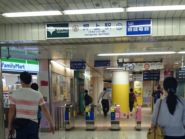 �w���D_�s�c�n���S�󑐐�����w