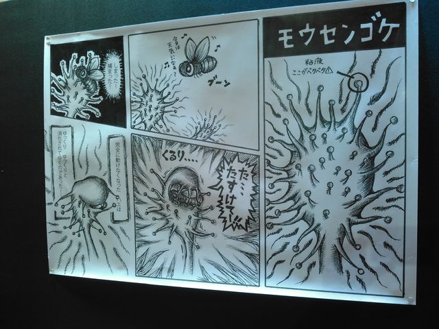 �ǂ̂悤�Ȏd�g�݂��G�ŕ�����₷���B_�A�N�A�}�������Ȃ킵��J���Z�~������