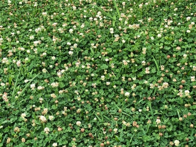 ƂƂ̓V钬B&GCmZ^[̓eʐ^1