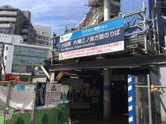 ^aD̏c}dSXؔwւ̓eʐ^1