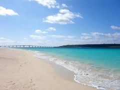 ���i����̔��l�ւ̓��e�ʐ^1