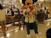 ݂̂̃VFtE~bL[̓eʐ^1