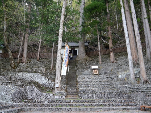 Ղ邯񂳂̞w}̓̕eʐ^1