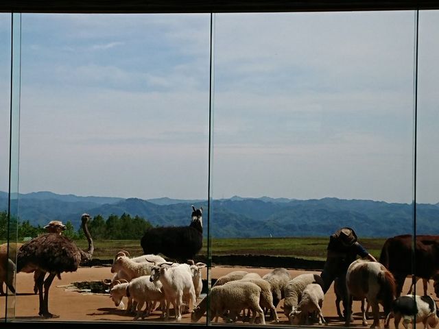 �����V���[_�}�U�[�q��