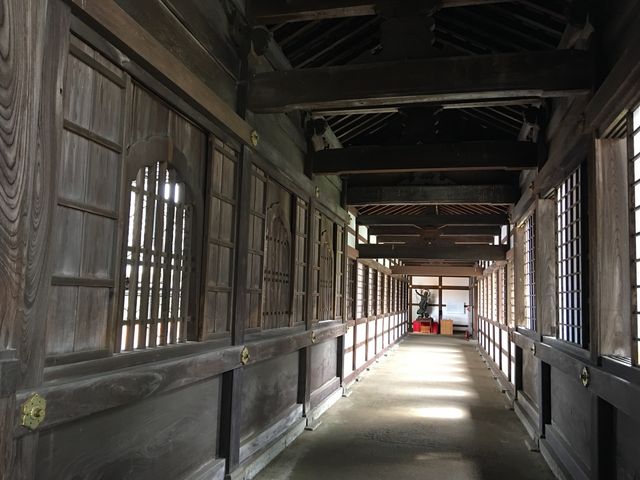 �C_������