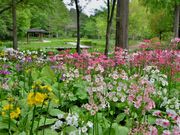 tapumieȅOːA̓eʐ^1