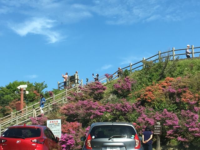 �~���}�L���V�}���炢�Ă��܂����B_�m�c�����W�]��