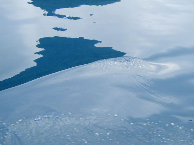 �z�����܂��悤�Ȍ΂̃u���[_�x┌Ίό��D