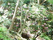 kakůxl̐XLv̓eʐ^1