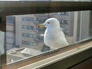 _C񂳂̓̐쉷̓eʐ^4