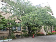 tyrelli̊Jsyق̓eʐ^1