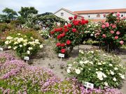 w-masäܖsLȋߑpق̓eʐ^2