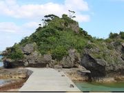 �ׂ�����̃A�}�~�`���[�̓��e�ʐ^1