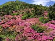 poporon̐mcW]̓eʐ^2