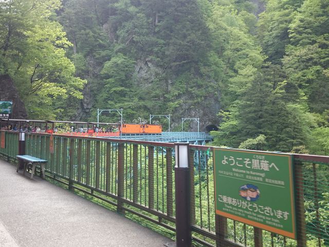 ���߂��ǂ��ł�_���㉷��