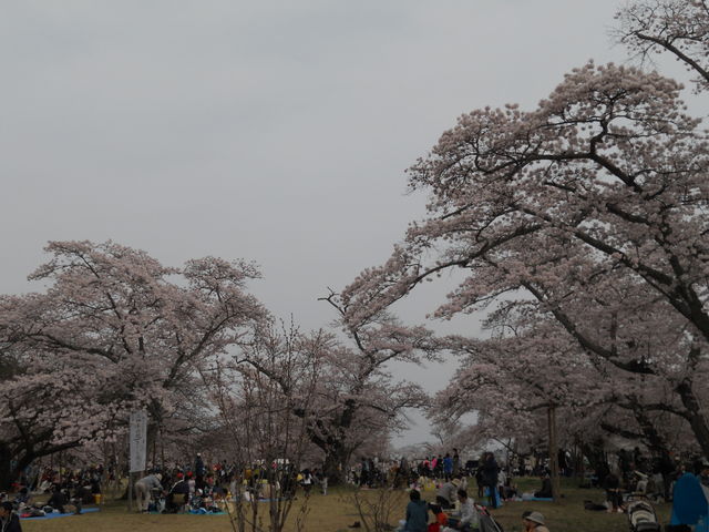 �O�_�������̍�_�O�_�������̍�