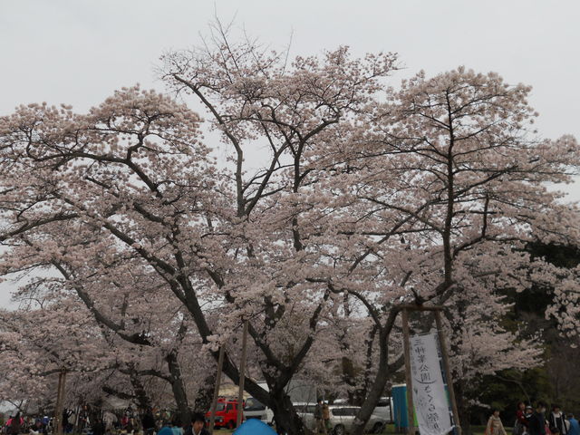 �O�_�������̍�_�O�_�������̍�