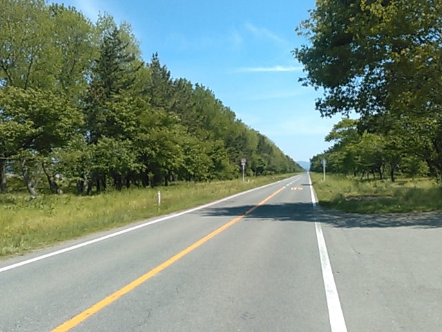 ́[ā[[ȁ[[iwhite lovej_Yn