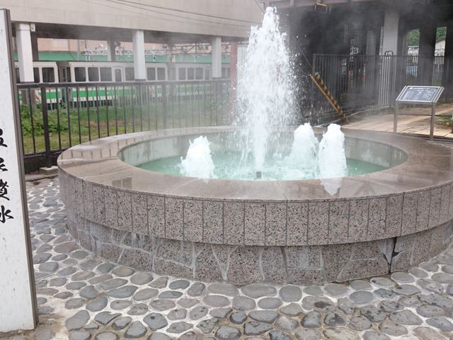 �w�O�̕����͉���ł�_�F�ތ�����