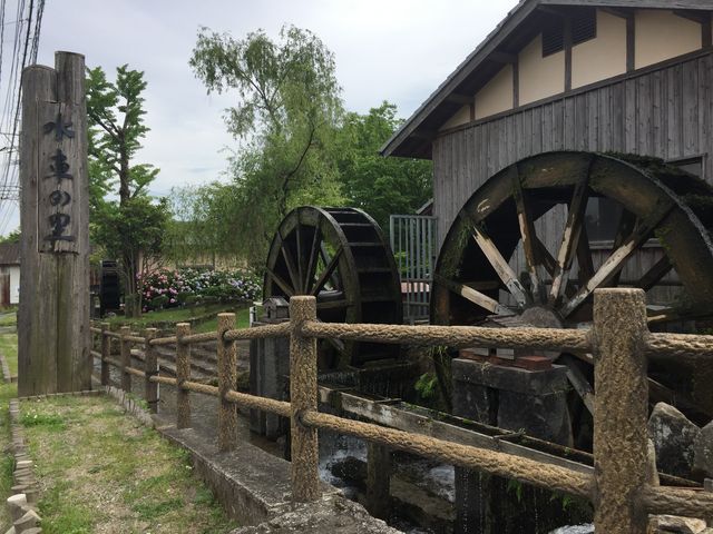 �O�A����_���Ԃ̗��E�V�w��