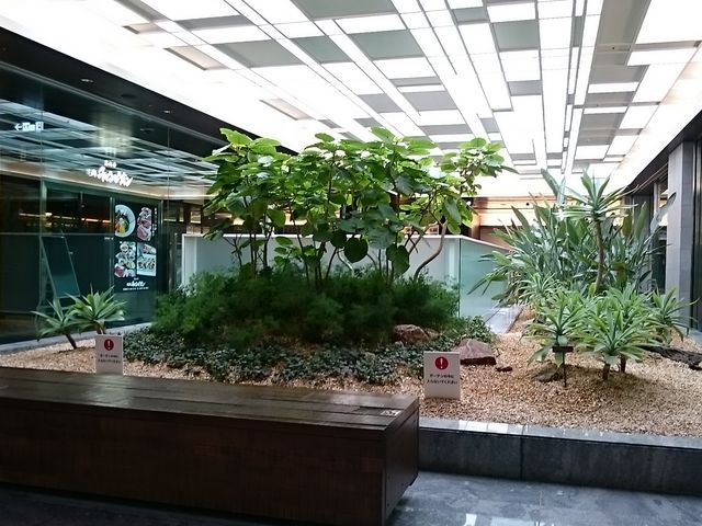 Ă̐Aƈ֎q鍶ł_VH؍ ɂ