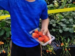 �܂�������������R���������ւ̓��e�ʐ^1