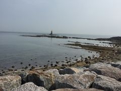 �H�����̎ʐ^1