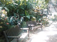 室内にはベンチもあります。_生態系公園・観賞温室（秋田県農業研修センター）