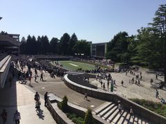 SAKURAJRAnقւ̓eʐ^1