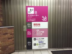 KAZ̓sc]ː Vhwւ̓eʐ^1