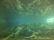 ꂨ񂳂̋Övєق̓eʐ^4