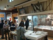 ꂨ񂳂̊C̉w凋CO̓eʐ^2