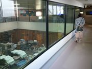 ꂨ񂳂̔肩܂ڂق̓eʐ^5