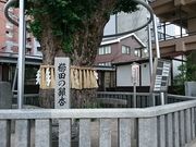 񂿂񂳂̋c_Ђ̑C`E̓eʐ^1