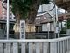 あんちゃんさんの櫛田神社の大イチョウの投稿写真1