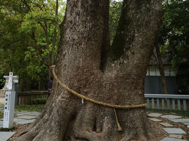 �v�w��_�ɜQ���_�{�̕v�w��