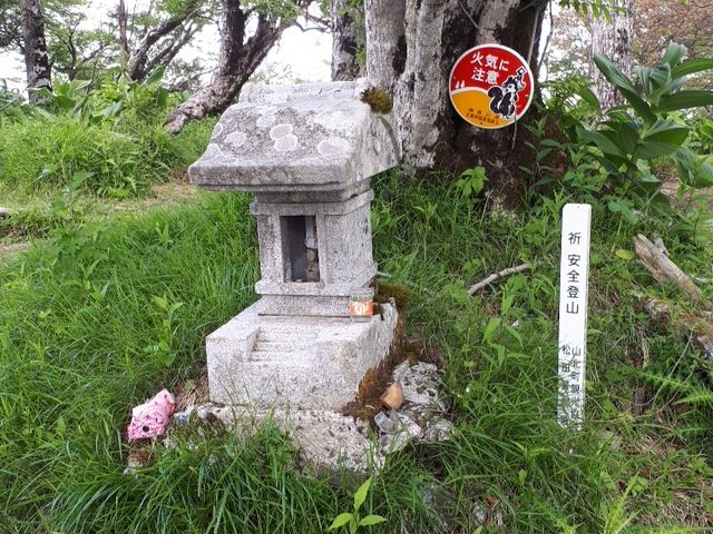 �R��_�O����