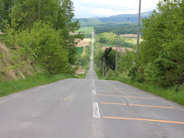 �^�������ɑ�����_�W�F�b�g�R�[�X�^�[�̘H