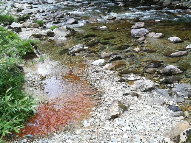 ɗĂB򂪗ꍞœSŁH΂Ԃ܂Ă܂B_i򕌌Csj