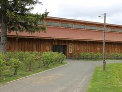 񂳂̃Jp[iZԒւ̓eʐ^1