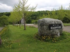 ��������񂳂�̒������u�����ւ̓��e�ʐ^1