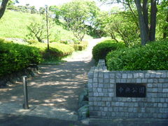 �g�V���[����̒��������ւ̓��e�ʐ^1